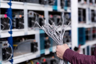 Eco-friendly Mining Rigs utilizing solar panels