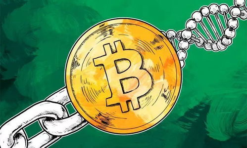 Advanced bitcoin mining equipment